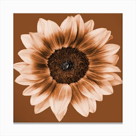 Rustic Sunflower Square Canvas Print