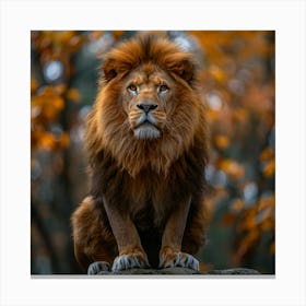 Lion In Autumn Forest Canvas Print