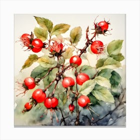 Rosehips Canvas Print