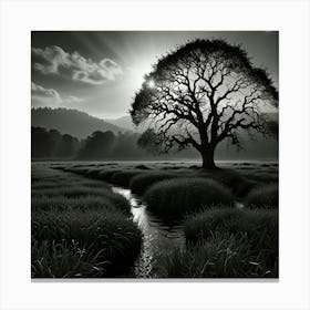 Tree In A Field Canvas Print