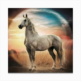 White Horse At Sunset Canvas Print