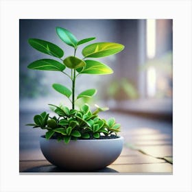 Small Plant In A Pot 1 Canvas Print
