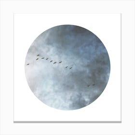 Birds In Flight Square Canvas Print