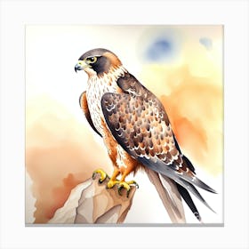 Falcon Watercolour2 Canvas Print