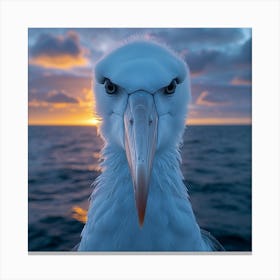 Eagle At Sunset Canvas Print