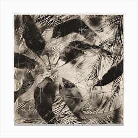 Feather Etchings Canvas Print