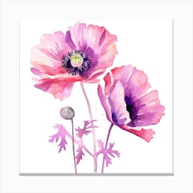 Watercolor Poppies 1 Canvas Print