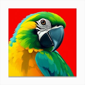 Parrot Canvas Print