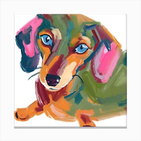 Dachshund 04 Canvas Print