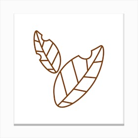 Two Leaves On A White Background Canvas Print