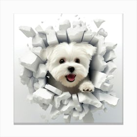 White Dog Through A Hole Canvas Print