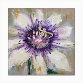 Passionflower Canvas Print