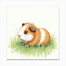 Guinea Pig Canvas Print