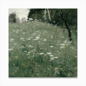 Field Of Daisies 1 Canvas Print