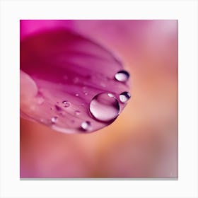 A Close Up Of A Delicate Raindrop On A Vibrant Flower Petal, Showcasing Its Reflective Surface And I Canvas Print