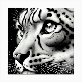 Snow Leopard 1 Canvas Print