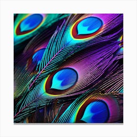 Peacock Feathers 18 Canvas Print