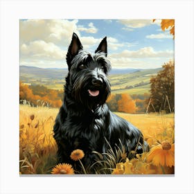 Scottish Terrier In Golden Field Canvas Print
