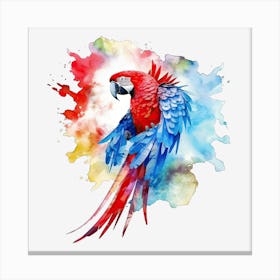 Colorful Parrot 15 Toile