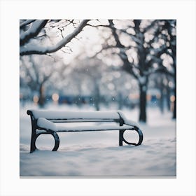 Serene Winter Relaxation2 Canvas Print