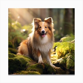 Shetland Sheepdog In The Forest Canvas Print