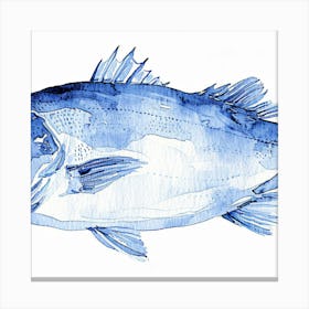 Bluefin Tuna Canvas Print