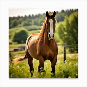 Horse In The Field 4 Canvas Print