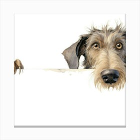 Irish Wolfhound 2 Canvas Print