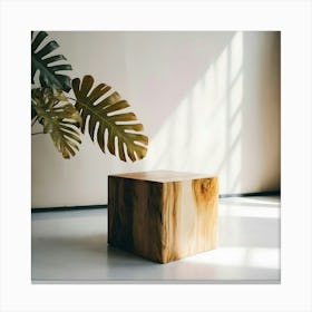 Wooden Cube 1 Canvas Print