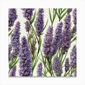 Lavender Canvas Print