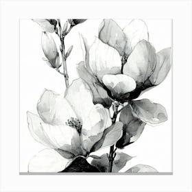 Magnolia 1 Canvas Print