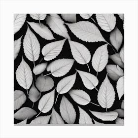 Black And White Leaves 1 Canvas Print