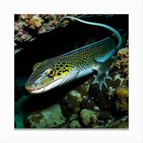 Eagle Ray 3 Canvas Print