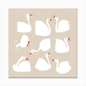 White Geese 1 Canvas Print