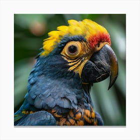 Black Yellow Bird Canvas Print