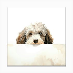 Spanish Water Dog Canvas Print