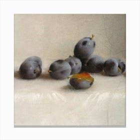 Fruit 16 Canvas Print