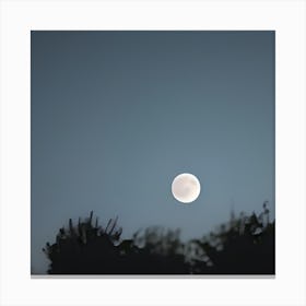 Moon In The Sky Canvas Print