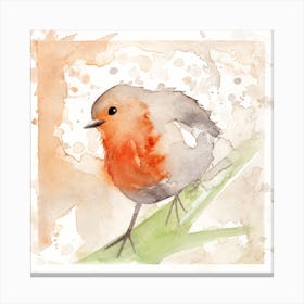 Robin Bird 3 Canvas Print