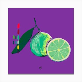 Food Limette Canvas Print