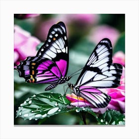 Butterflies On Roses Canvas Print