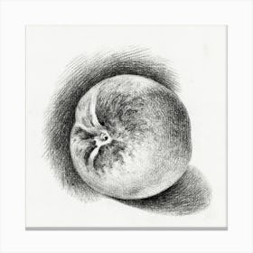 Apple (1812), Jean Bernard Canvas Print