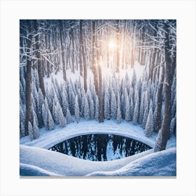 Winter Forest With Visible Horizon And Stars From Above Drone View (2) Canvas Print
