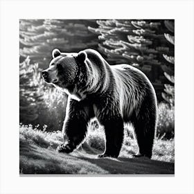 Grizzly Bear Canvas Print