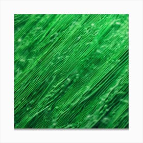 Green Background 4 Canvas Print