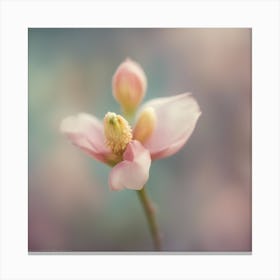 A Close Up Of A Delicate Bird Bud Just Beginning To Bloom, With Soft Petals And Hints Of Vibrant Col (2) Canvas Print