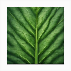 Kale Leaf Canvas Print