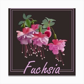 Pink Fuchsia Flowers On A Brown Background Canvas Print