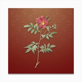 Vintage Rosa Redutea Glauca Botanical on Falu Red Pattern n.1743 Canvas Print