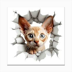 Sphynx Cat Canvas Print